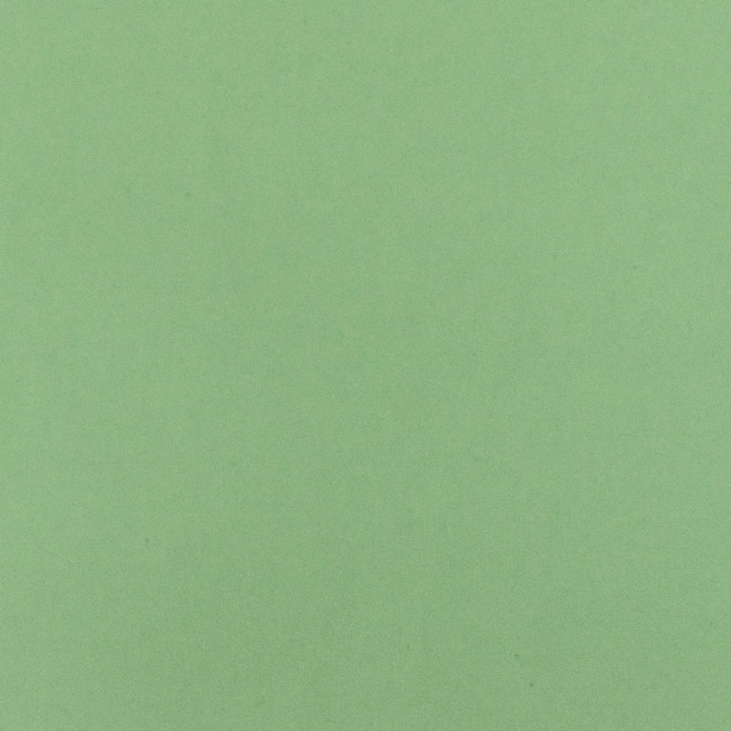 Clean Green Solid Silk Georgette Woven Fabric