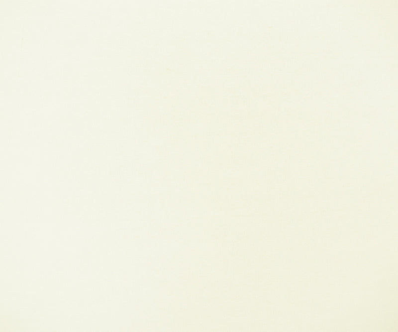 Ivory Poly Stretch Spandex Solid ITY Knit Fabric