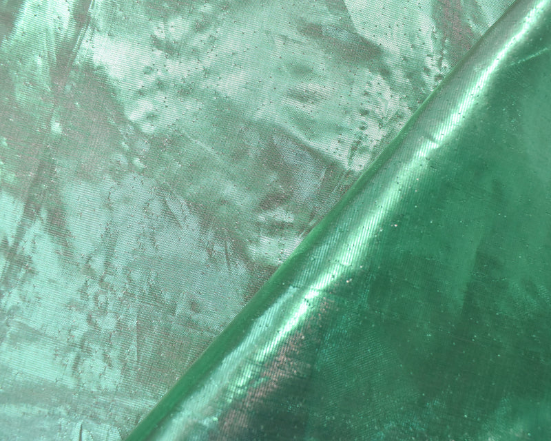 Green Nylon Hologram Sheer Woven Fabric