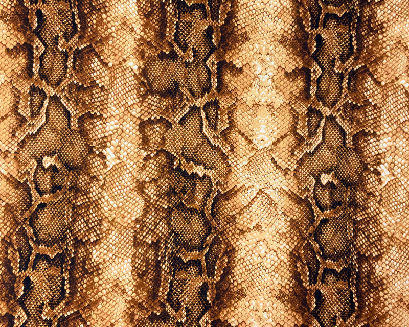 Brown-Multi Poly Spandex Stretch Reptile Print DB Jersey Knit Fabric