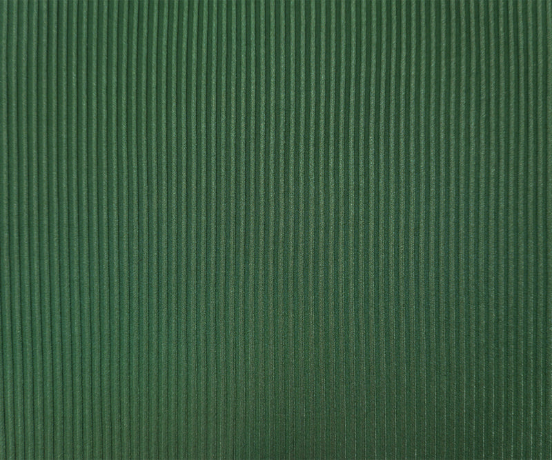 Green Famous Maker Nylon Spandex Solid Rib Knit Fabric