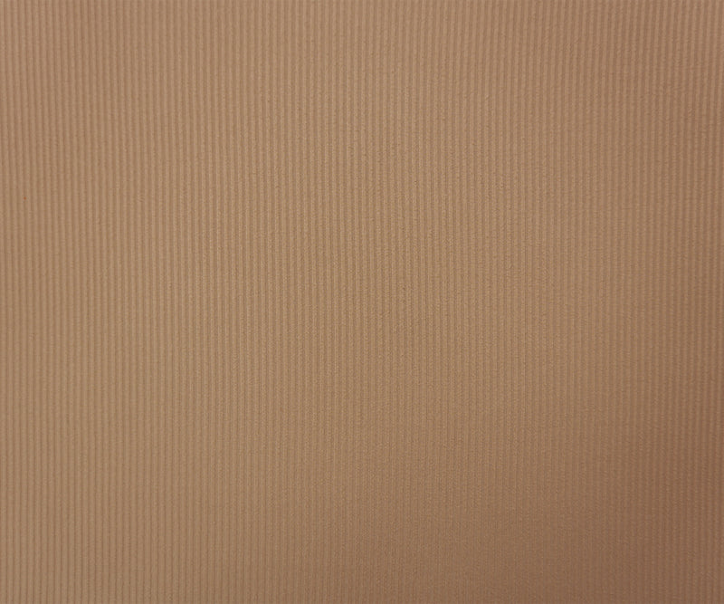 Beige Famous Maker Poly Spandex Solid Brush Face Rib Knit Fabric
