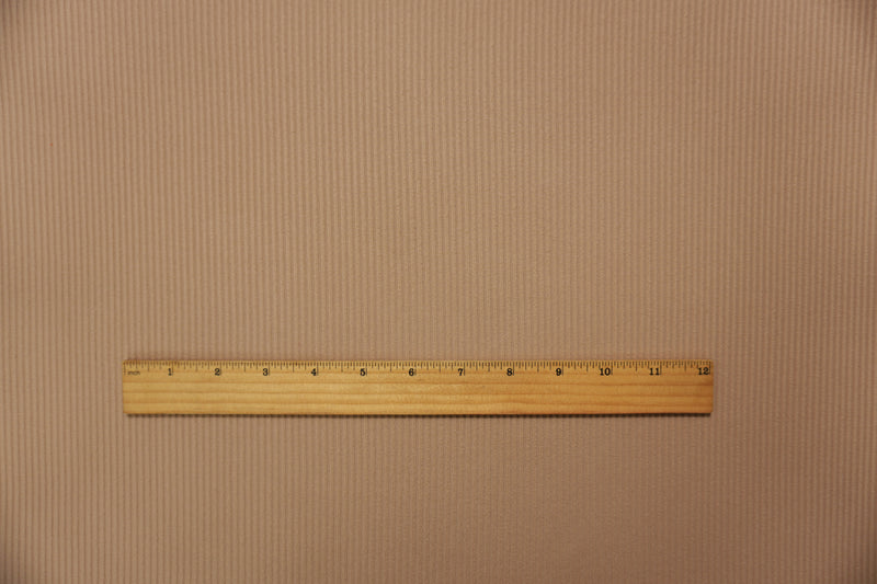 Beige Famous Maker Poly Spandex Solid Brush Face Rib Knit Fabric