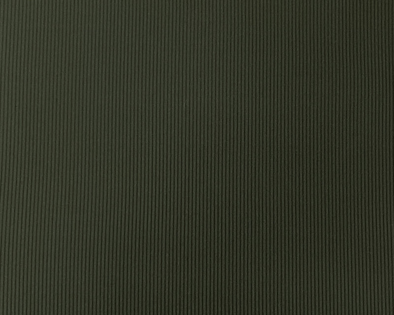 Green Nylon Spandex Stretch 2x2 Rib Knit Famous Maker Fabric