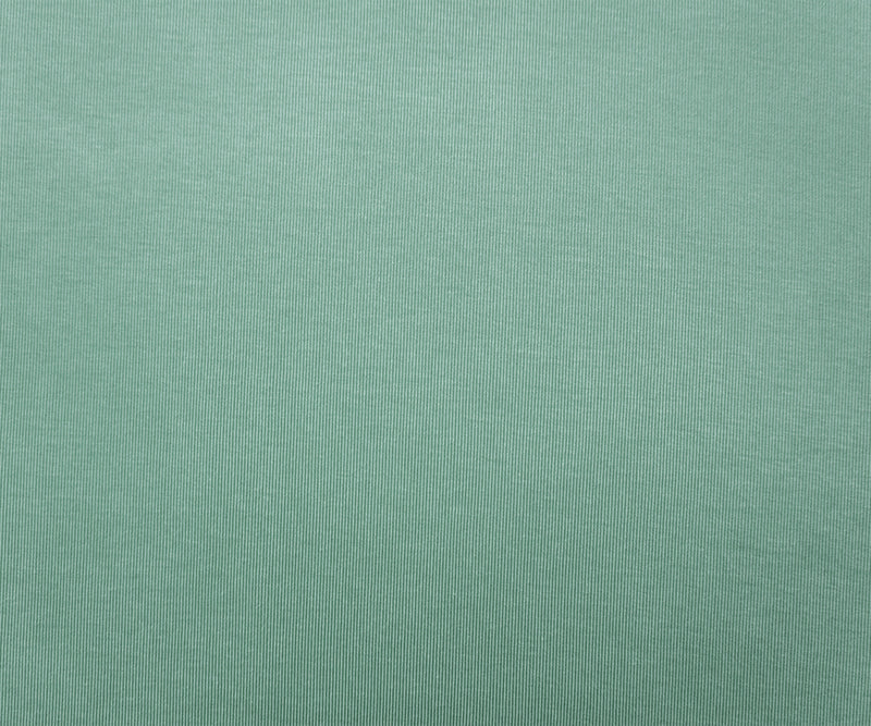 Pastel Green Famous Maker Poly Stretch Solid Rib Knit Fabric