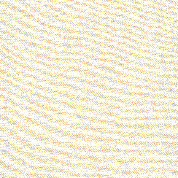 15 YD Bolt-Ivory Scuba Knit Fabric