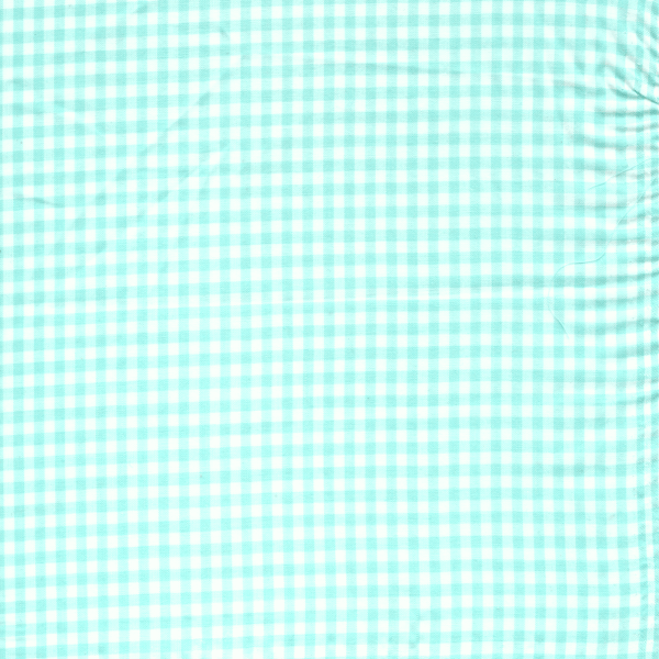 Mint 1/8 Inch Gingham Fabric - Reorderable