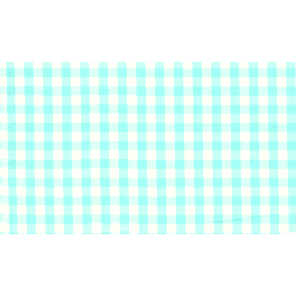 Mint 1/4 Inch Gingham Fabric - Reorderable