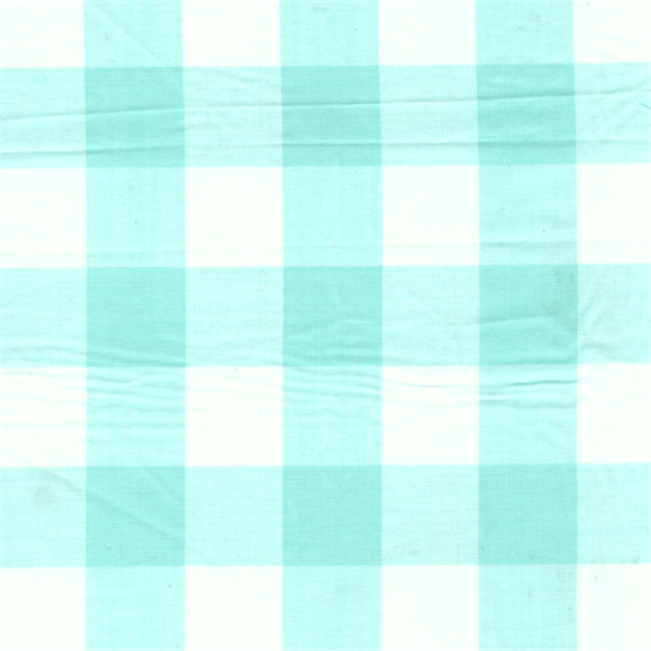20 YD Bolt-Mint 1 Inch Gingham Fabric
