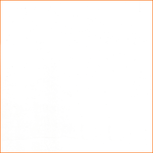 50 YD Bolt-White Tulle Fabric