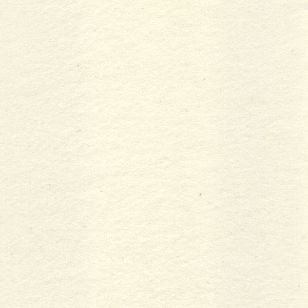 20 YD Bolt-Ivory Cotton Flannel Fabric