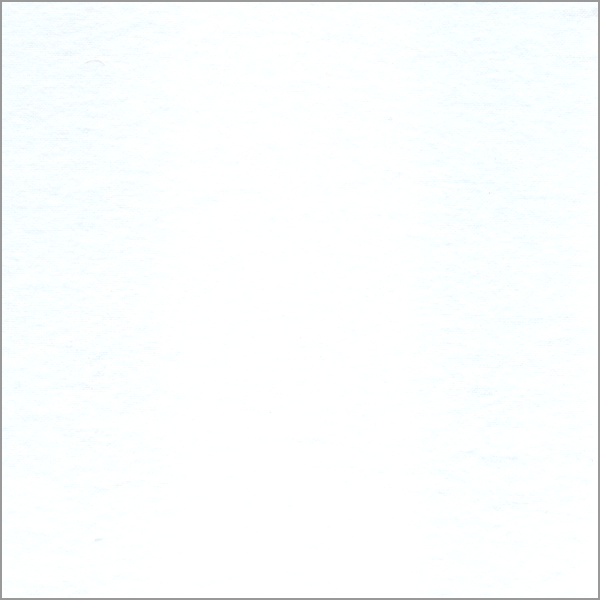 20 YD Bolt-White Cotton Flannel Fabric