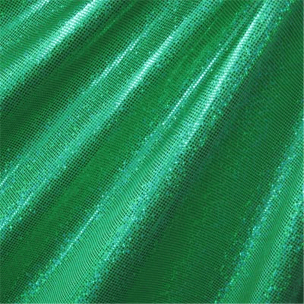 Kelly/Kelly Hologram Dot Bolt Fabric