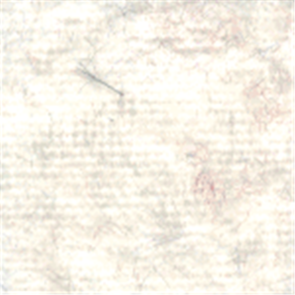 Ivory Crushed Panne Velour Fabric - Reorderable