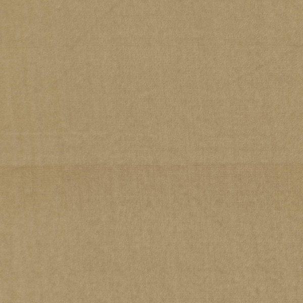 Light Brown Silk Rayon Velvet Fabric