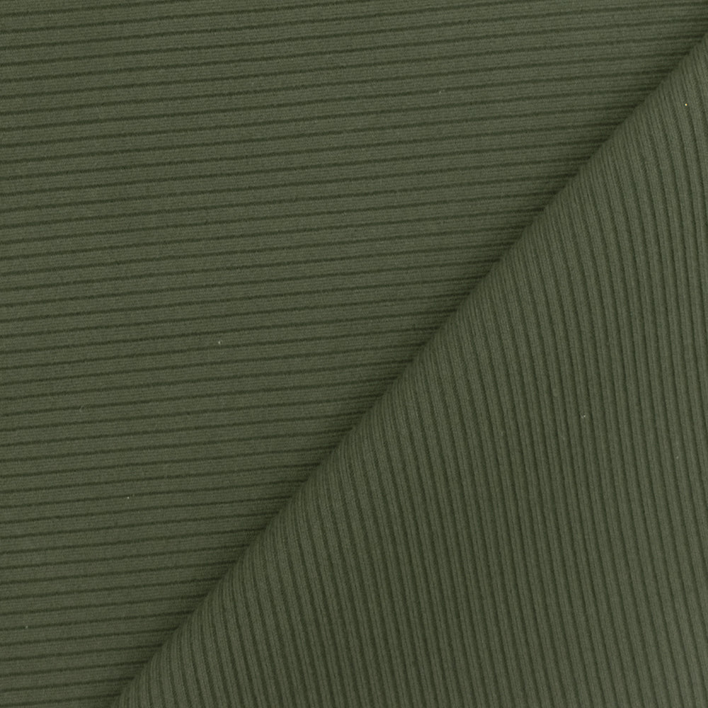 Stylish Fabric Rayon Spandex 2x1 Rib Knit Stretch Fabric (Sample Swatch  (7x10), Green Dusty)