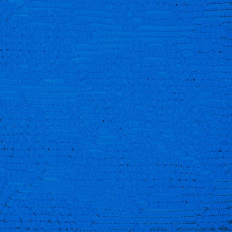 Blue  Nylon Spandex Abstract Semi-Sheer Texture 3D Activewear Knit Fabric