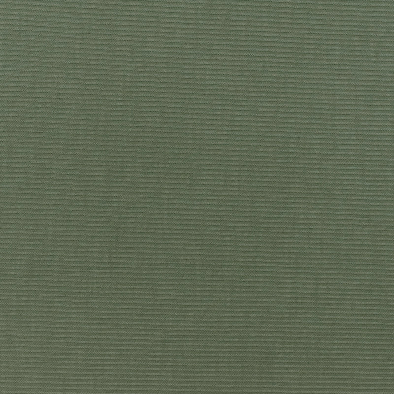 Green Solid Stretch Spandex Poly Rayon Rib Knit Fabric
