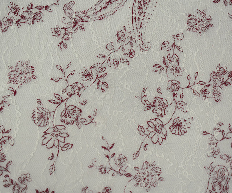 White-Red Nylon Floral Paisley Printed Lace Mesh Knit Fabric