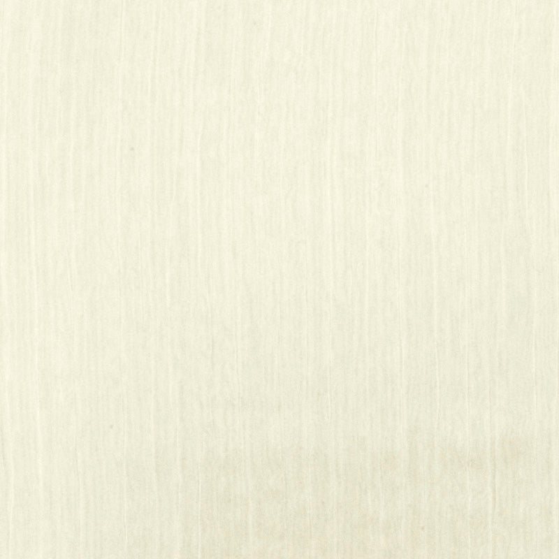 Paint Ivory Crinkle Nylon Double Weave Woven Fabric