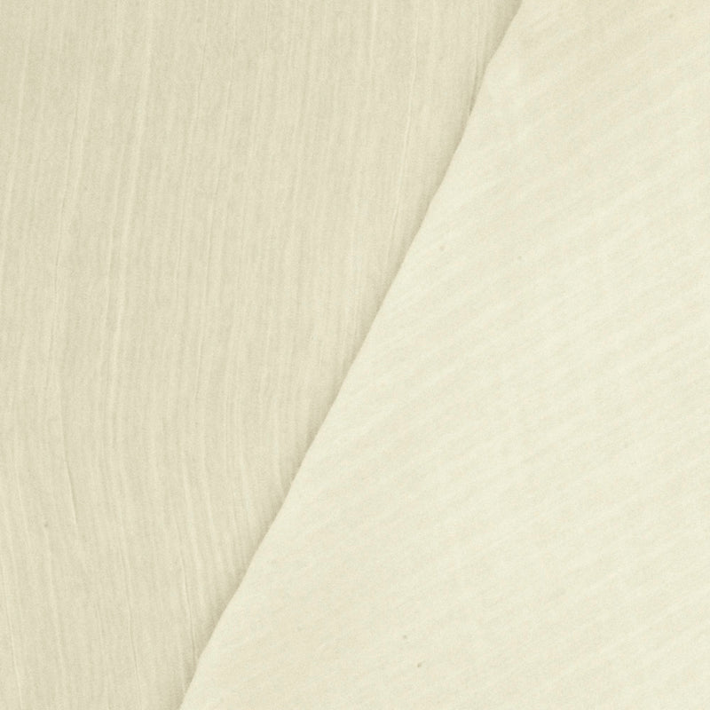 Paint Ivory Crinkle Nylon Double Weave Woven Fabric
