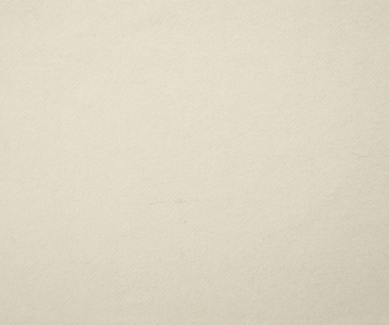Ivory Wool Poly Solid Twill Jacketing Fabric