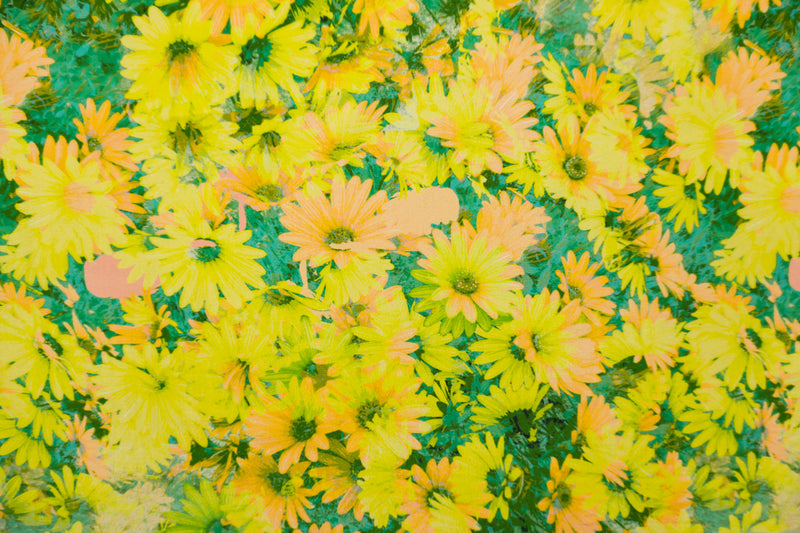 Yellow Silk Floral Printed Semi-Sheer Crepe Woven Fabric