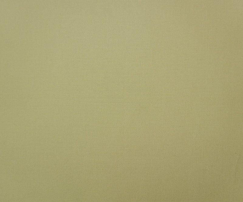 Light Green Cotton Solid Canvas Woven Fabric