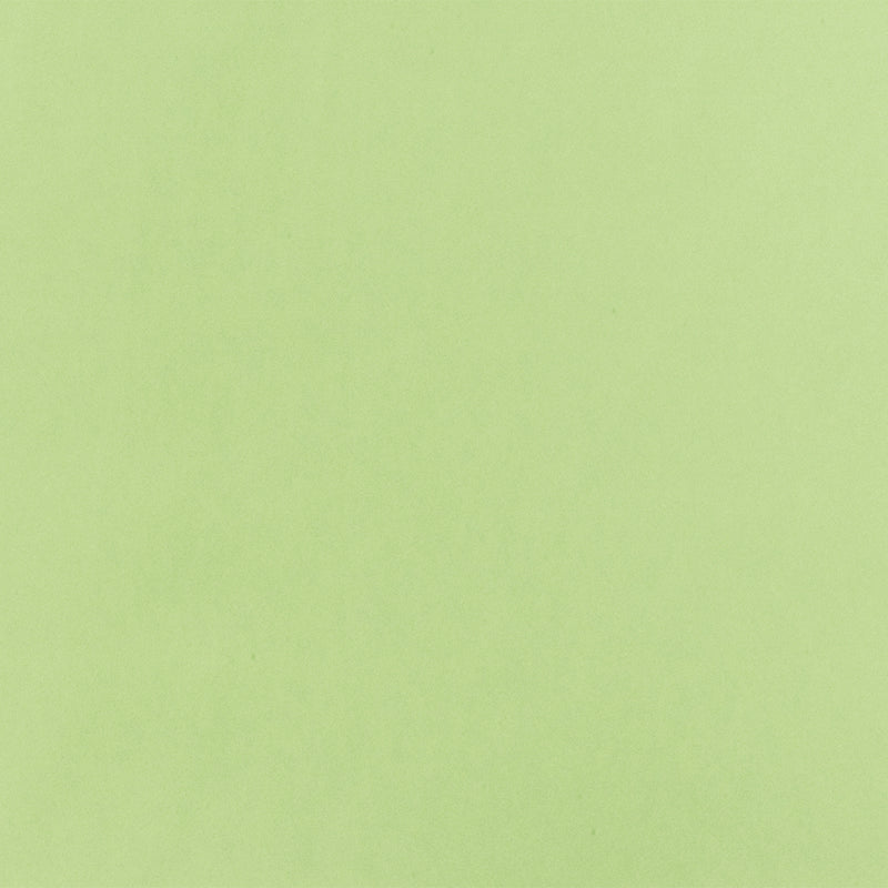 Matcha Latte Green Famous Designer Poly Charmeuse Woven Fabric