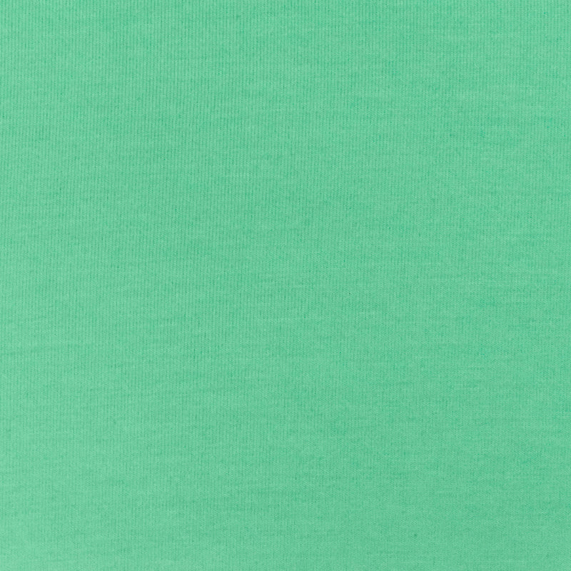 Mint Green Solid Stretch Spandex Bamboo Jersey Knit Fabric