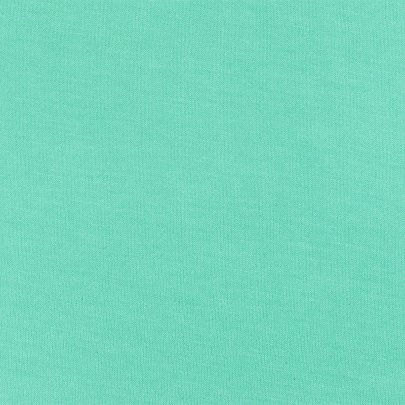 Light Green Solid Stretch Spandex Rayon Modal Jersey Knit Fabric