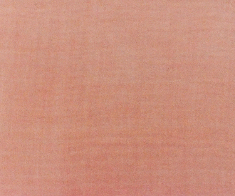 Pink Rayon Challis Solid Woven Fabric