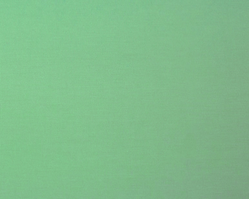 Pastel Green Bamboo Stretch Spandex Solid Jersey Knit Fabric