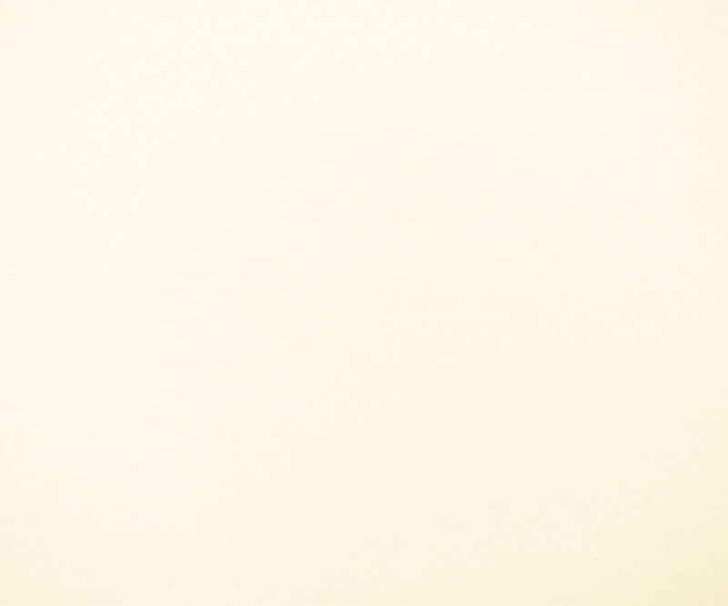 Off White Solid Cotton Spandex Knit Fabric - 10 oz - Reorderable