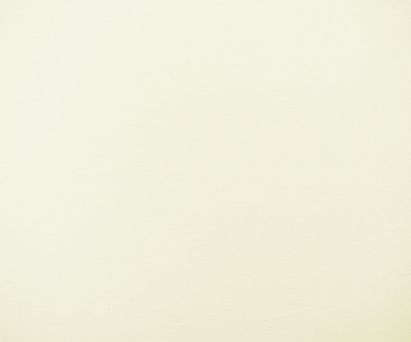 Off White Solid Cotton Spandex Knit Fabric - 12 oz - Reorderable