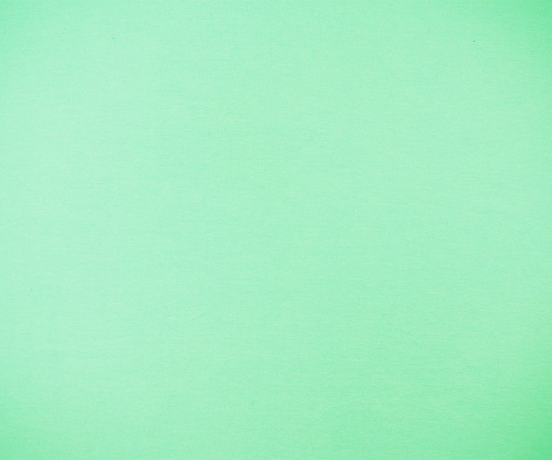 Mint Green Cotton Solid Stretch Spandex Jersey Knit Fabric