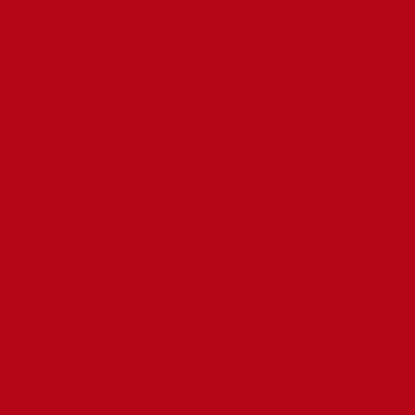 Red Twill Bolt Fabric