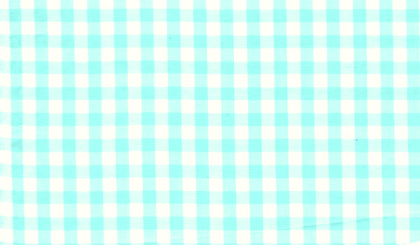 20 YD Bolt-Mint 1/4 Inch Gingham Fabric