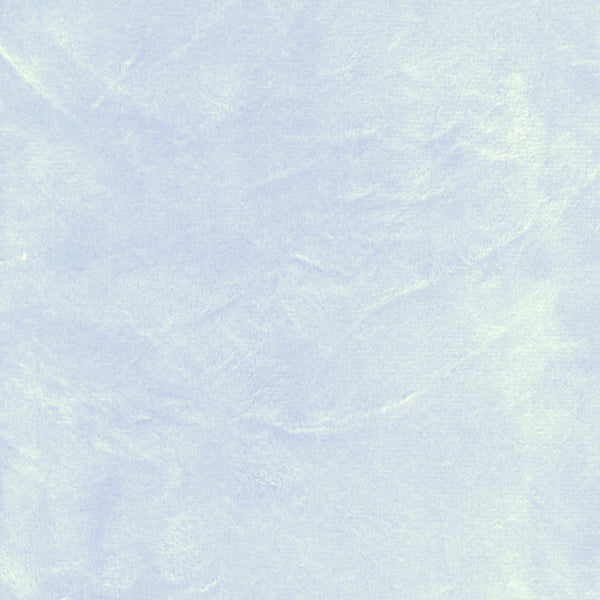 12 YD Bolt-Light Blue Minky Fabric